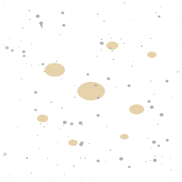 本星系群