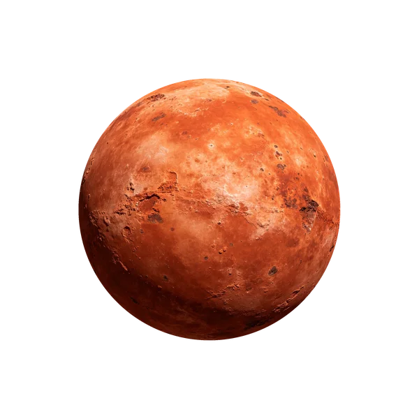 鸟神星
