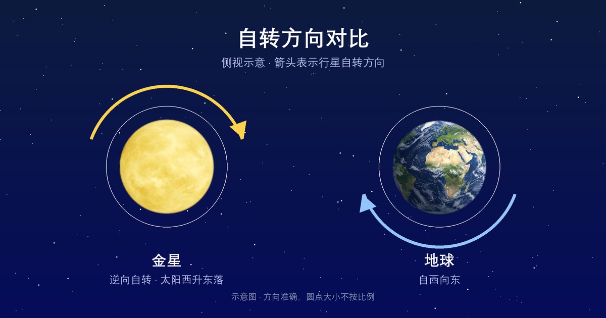 金星公转自转示意图，俯视太阳系，标注金星逆向自转方向，对比地球自转方向，简洁天文示意图